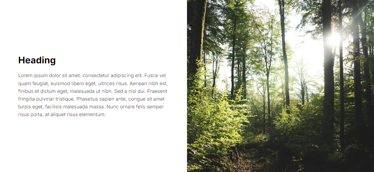 Text left constrained 50/50 banner
