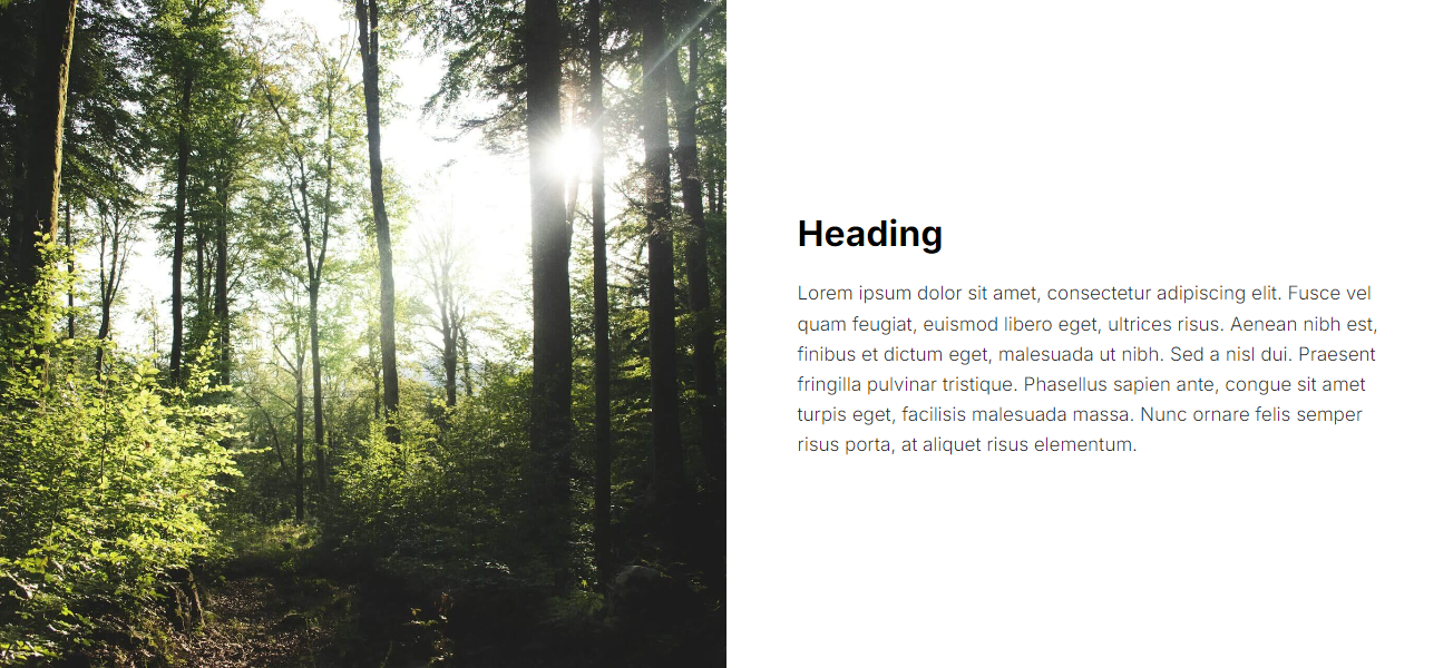 Text right constrained 50/50 banner