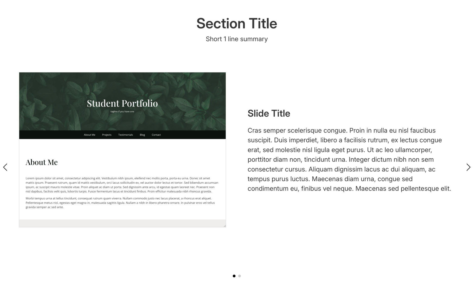 Carousel with Media & Text